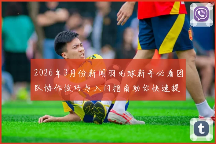 2026年3月份新闻羽毛球新手必看团队协作技巧与入门指南助你快速提升球技